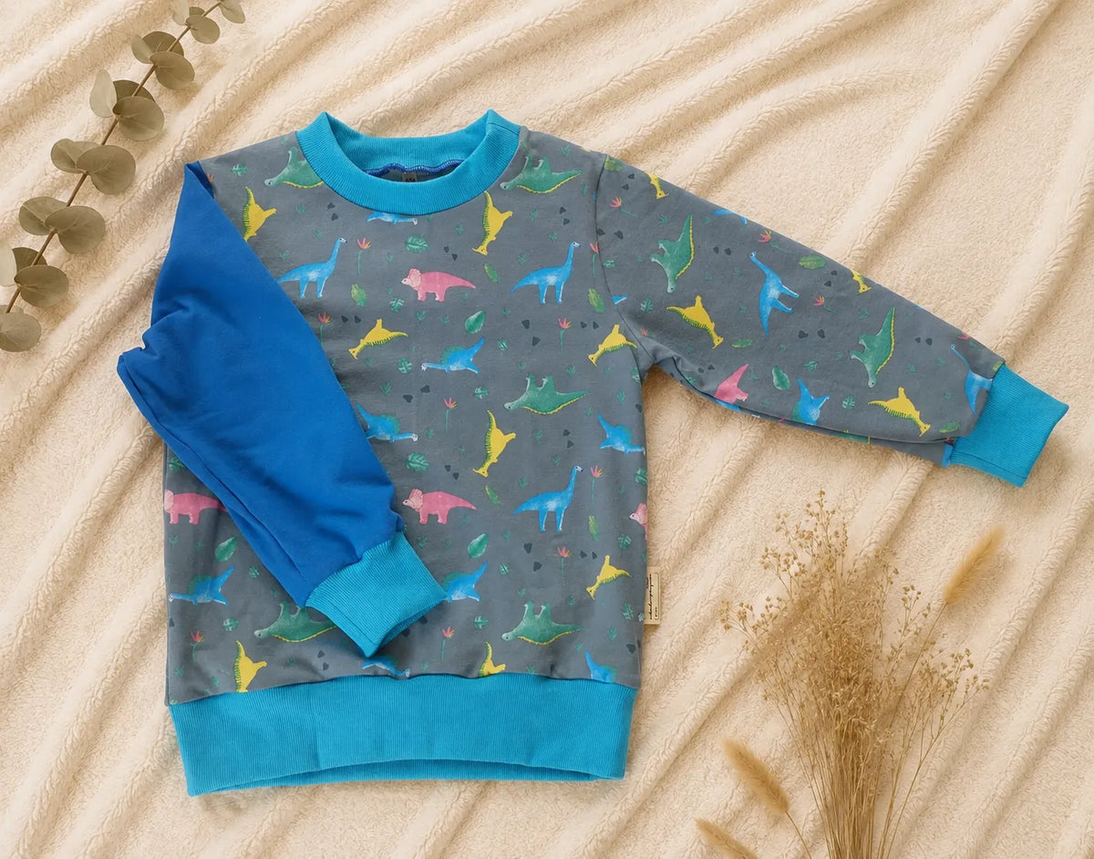 Kinderpullover Dinosaurier